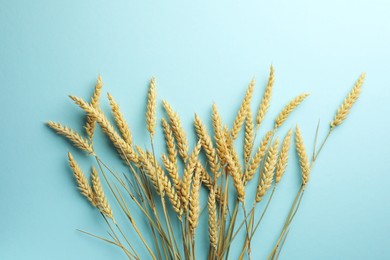 Photo of Many wheat spikes on turquoise background, flat lay