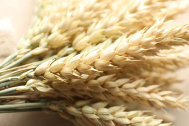Photo of Many golden wheat spikes as background, closeup