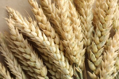 Photo of Many golden wheat spikes as background, closeup