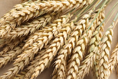 Photo of Many golden wheat spikes as background, closeup