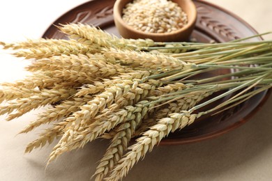 Photo of Many wheat spikes on paper background, closeup