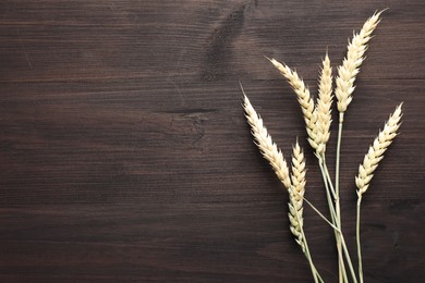 Photo of Many wheat spikes on wooden table, flat lay. Space for text