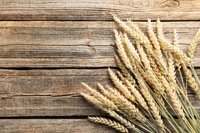 Photo of Many wheat spikes on wooden table, flat lay. Space for text