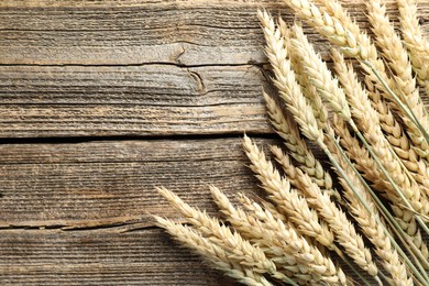 Photo of Many wheat spikes on wooden table, flat lay. Space for text
