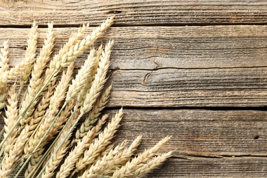 Photo of Many wheat spikes on wooden table, flat lay. Space for text