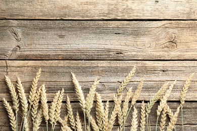 Photo of Many wheat spikes on wooden table, flat lay. Space for text