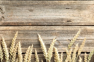 Photo of Many wheat spikes on wooden table, flat lay. Space for text