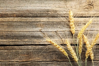 Photo of Many wheat spikes on wooden table, flat lay. Space for text
