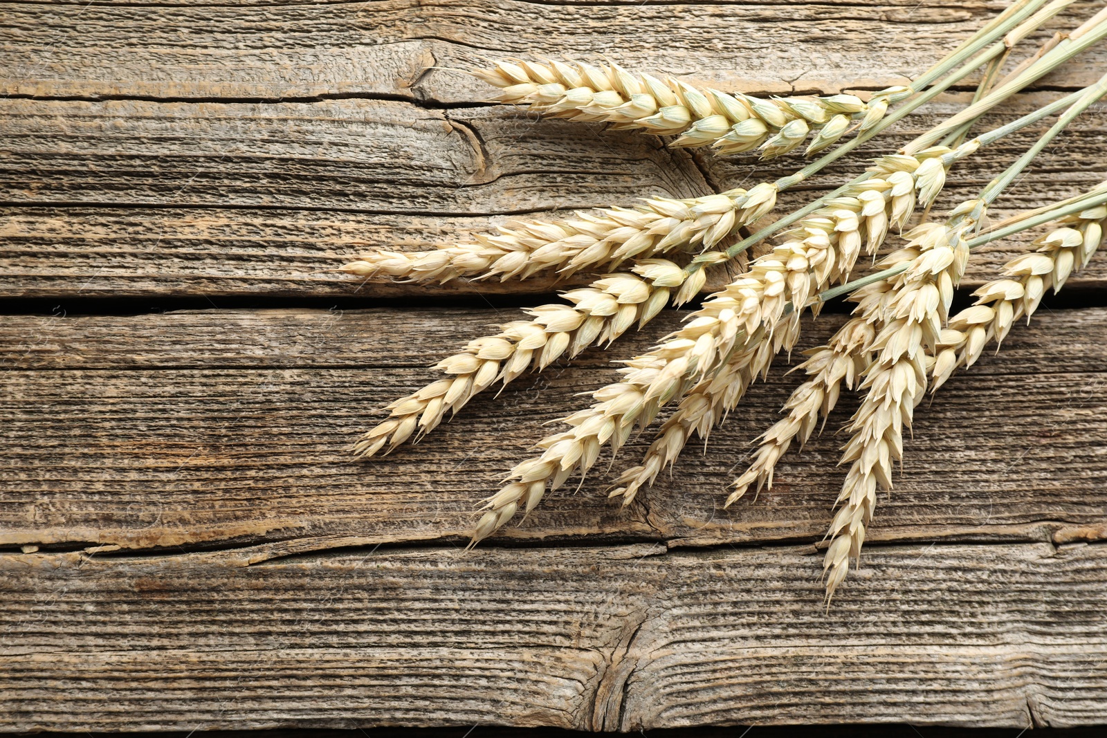 Many wheat spikes on wooden table, flat lay. Space for text Photo of Many wheat spikes on wooden table, flat lay. Space for text