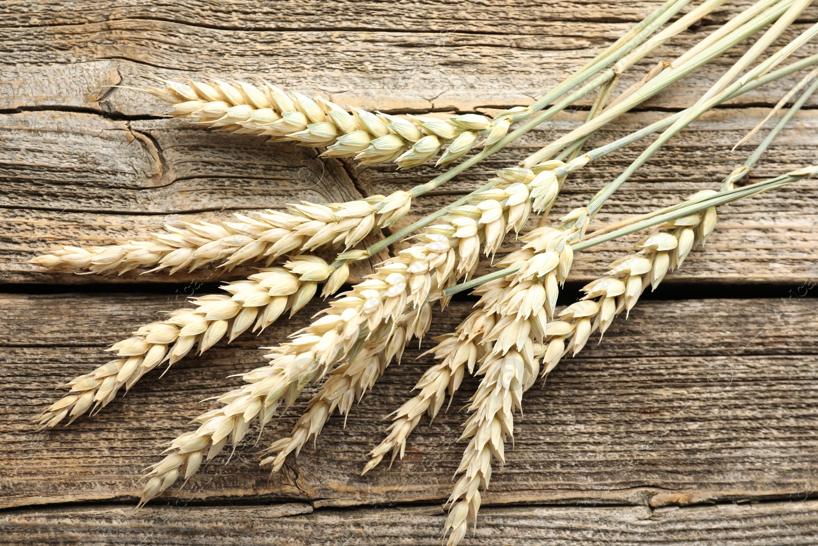 Many wheat spikes on wooden table, flat lay Photo of Many wheat spikes on wooden table, flat lay