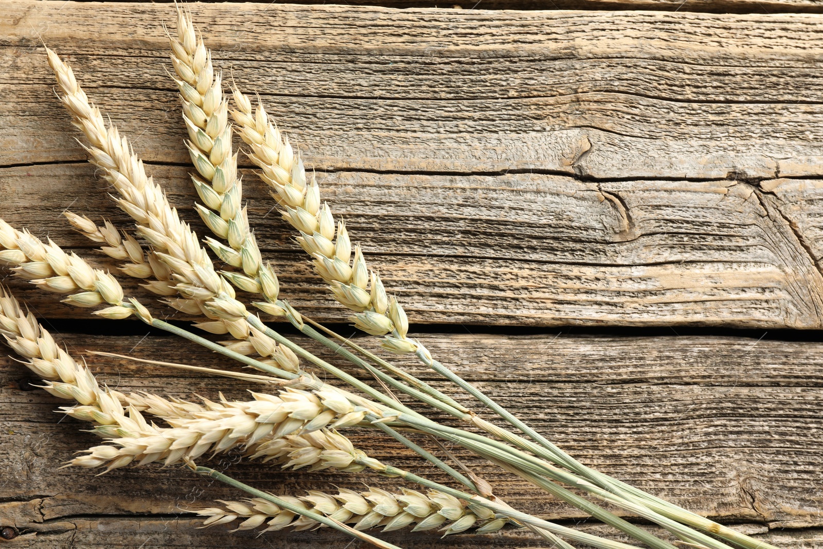 Photo of Many wheat spikes on wooden table, flat lay. Space for text