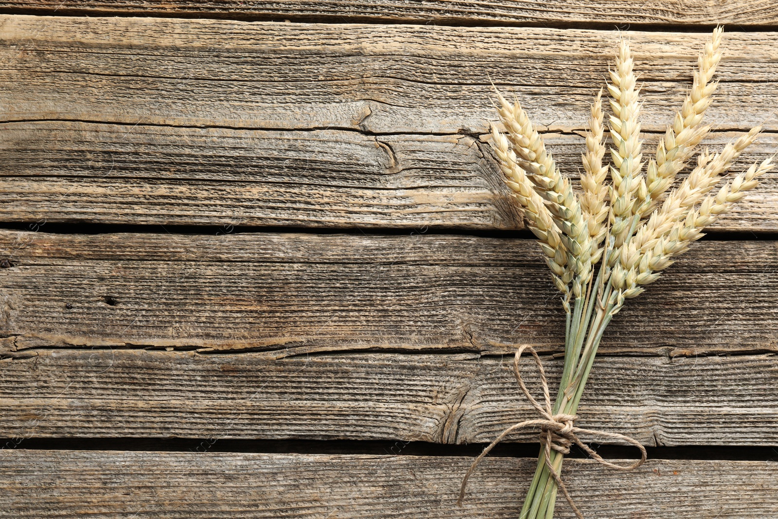 Photo of Bunch of wheat spikes on wooden table, top view. Space for text