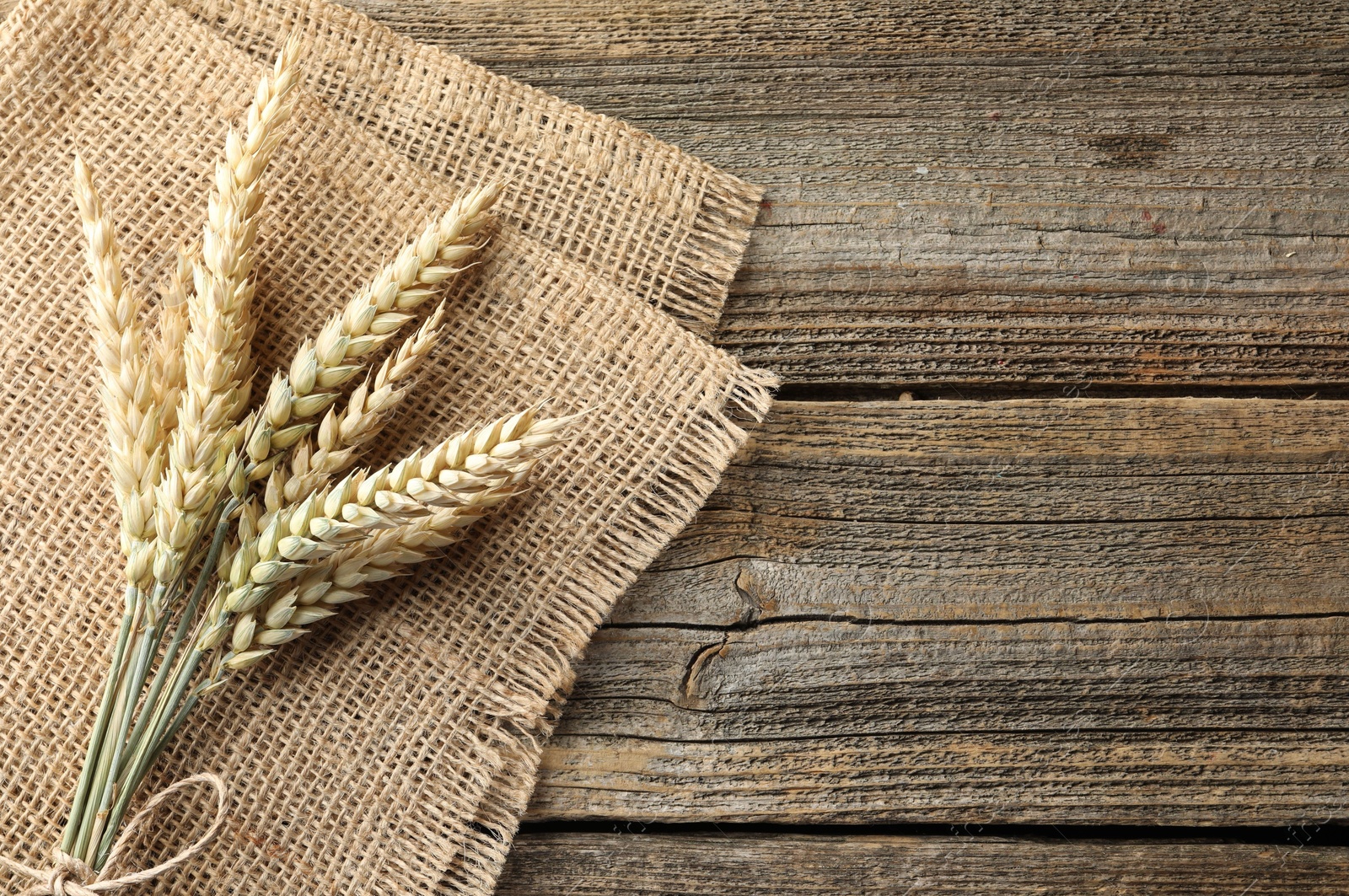 Photo of Bunch of wheat spikes on wooden table, top view. Space for text