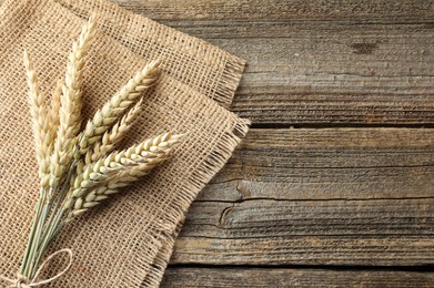 Photo of Bunch of wheat spikes on wooden table, top view. Space for text