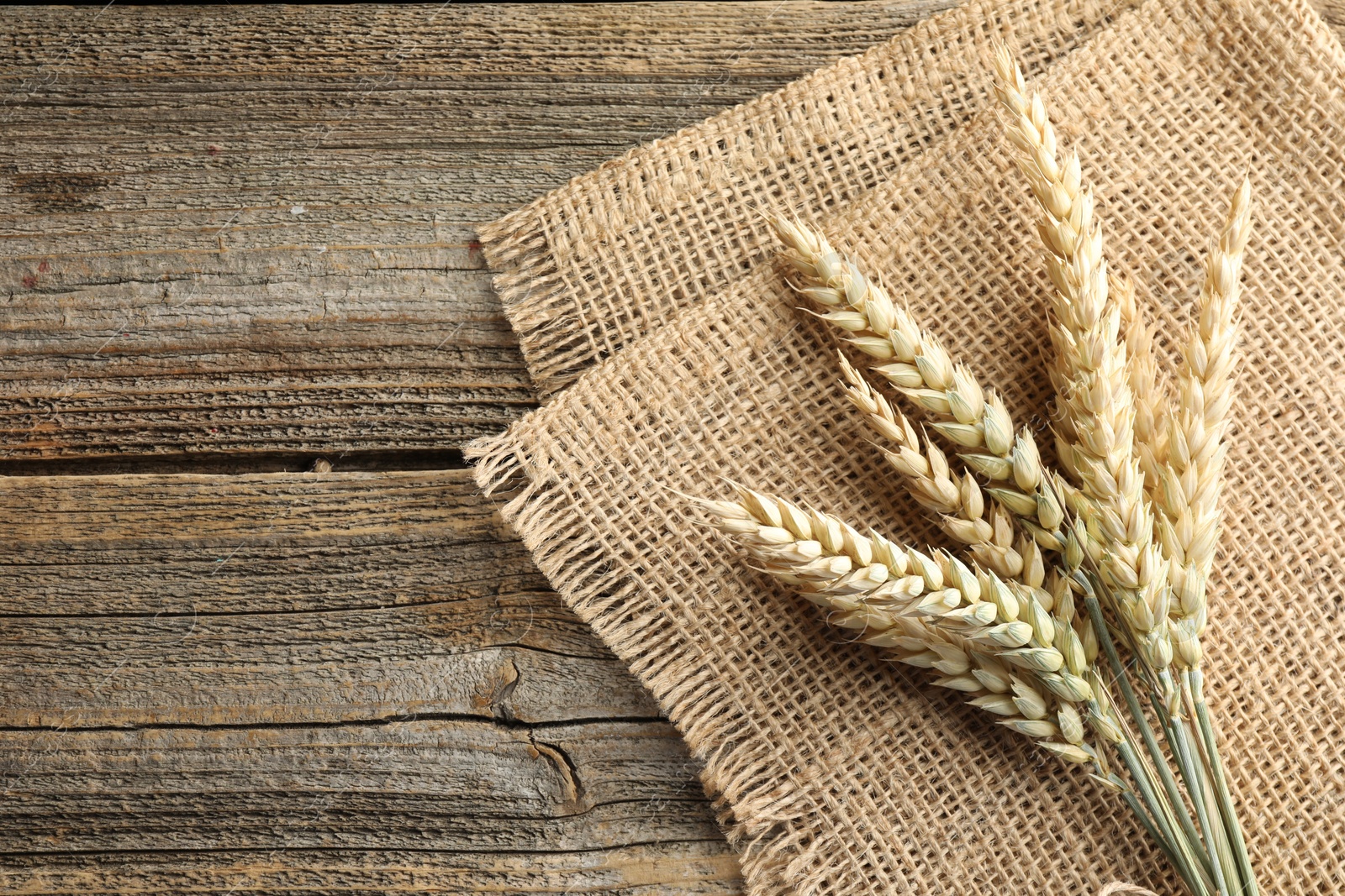 Photo of Bunch of wheat spikes on wooden table, top view. Space for text
