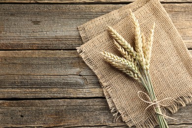 Photo of Bunch of wheat spikes on wooden table, top view. Space for text