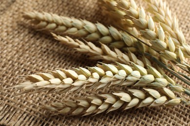 Photo of Many wheat spikes on table, closeup view