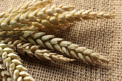 Photo of Many wheat spikes on table, closeup view