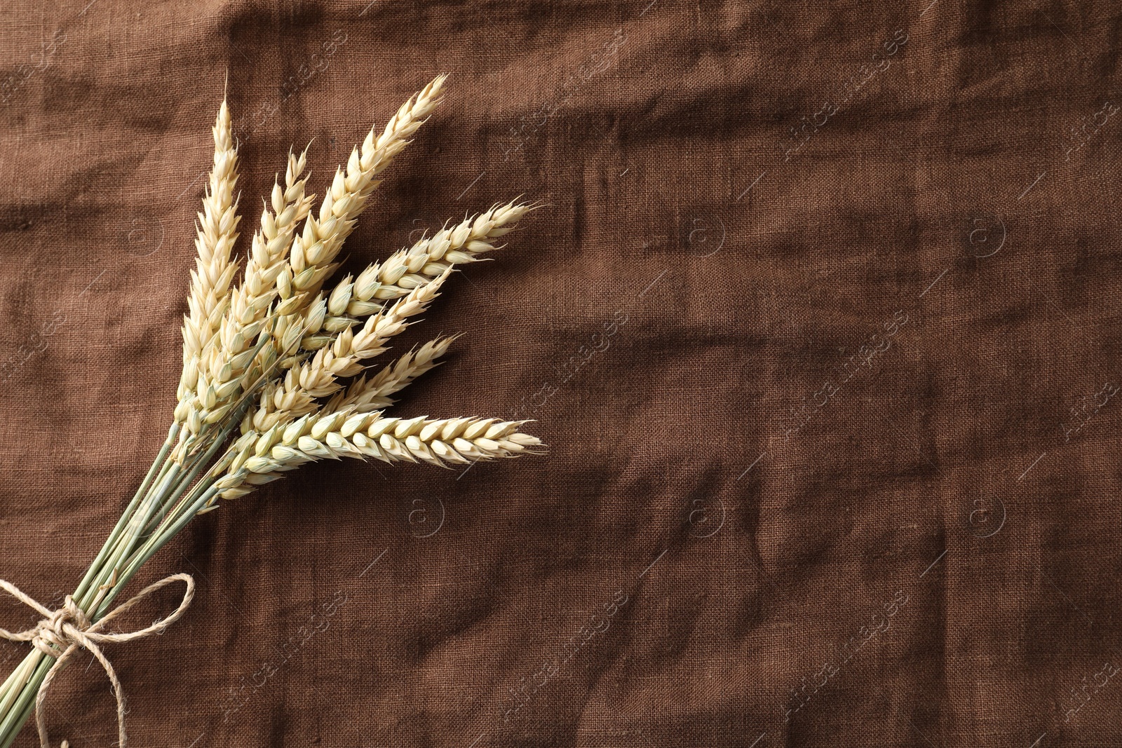 Bunch of wheat spikes on brown cloth, top view. Space for text Photo of Bunch of wheat spikes on brown cloth, top view. Space for text