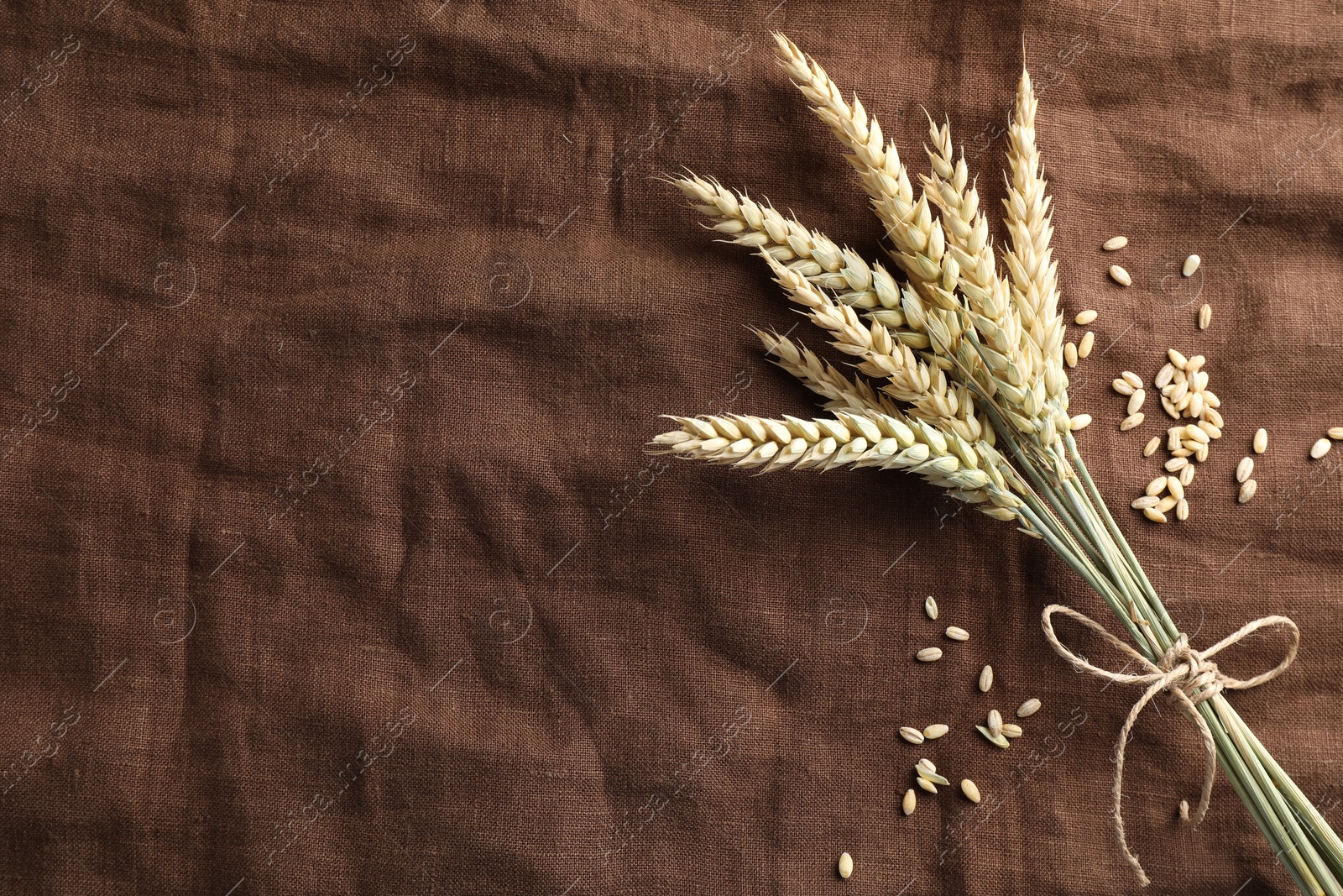 Photo of Bunch of wheat spikes and grains on brown cloth, flat lay. Space for text