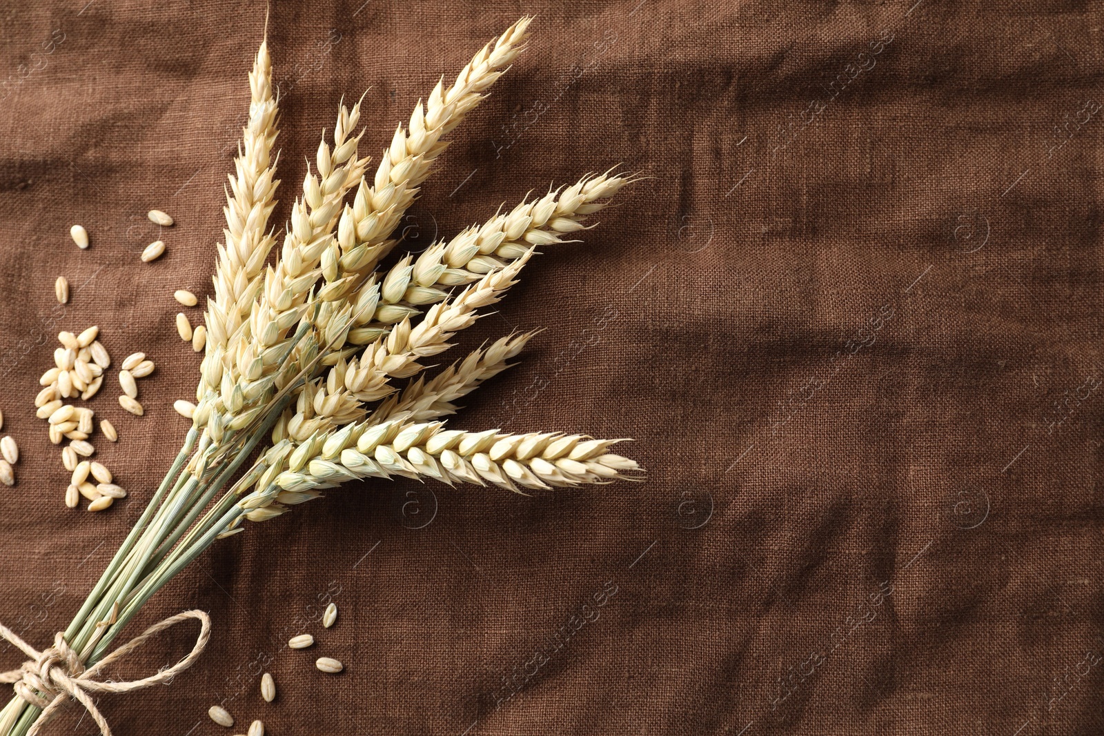 Photo of Bunch of wheat spikes and grains on brown cloth, flat lay. Space for text