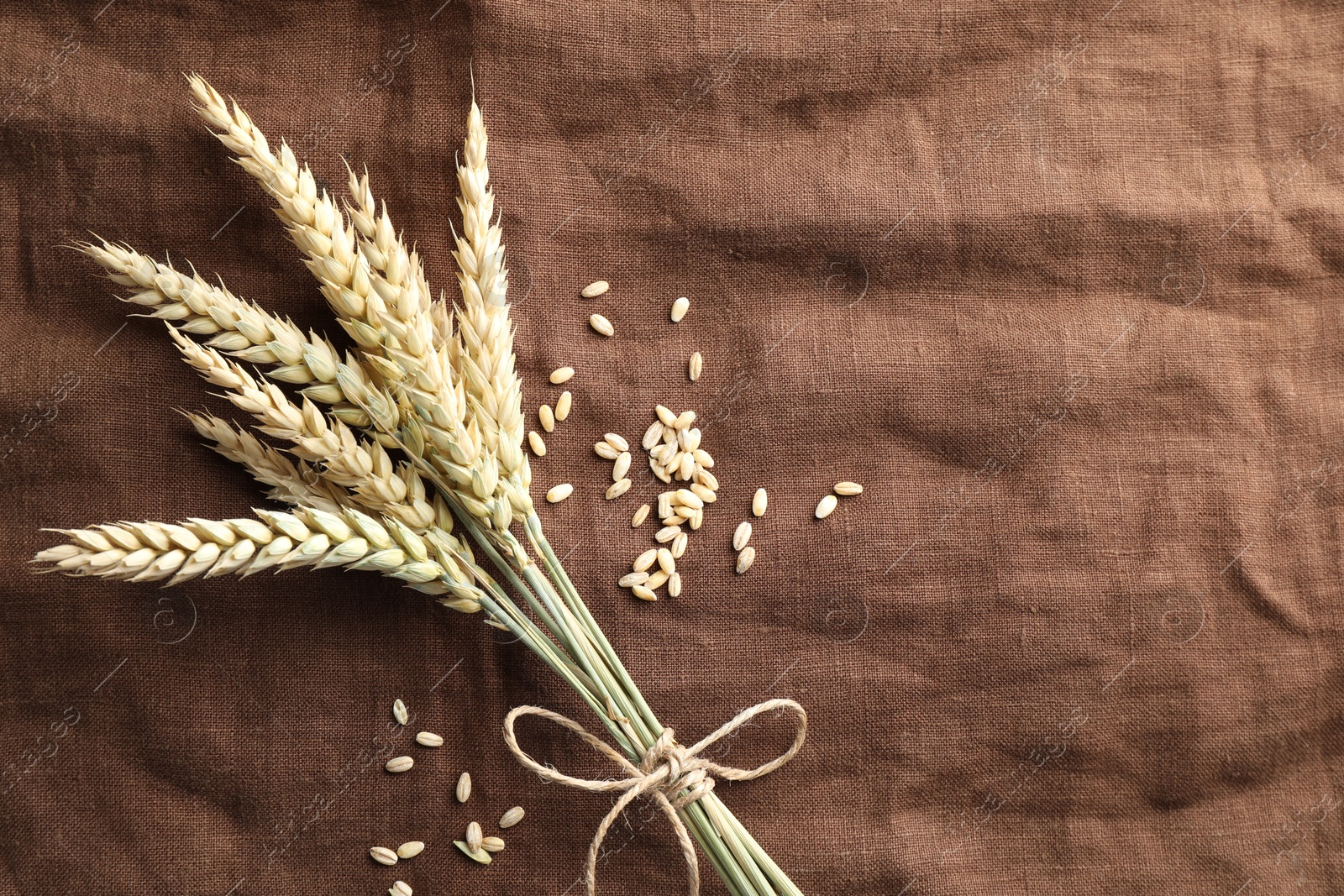 Photo of Bunch of wheat spikes and grains on brown cloth, flat lay. Space for text