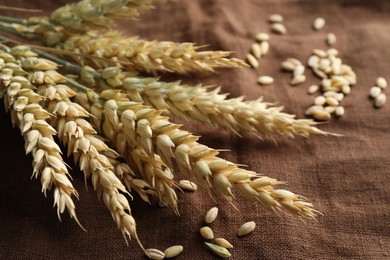 Photo of Bunch of wheat spikes and grains on brown cloth, closeup