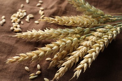 Photo of Bunch of wheat spikes and grains on brown cloth, closeup