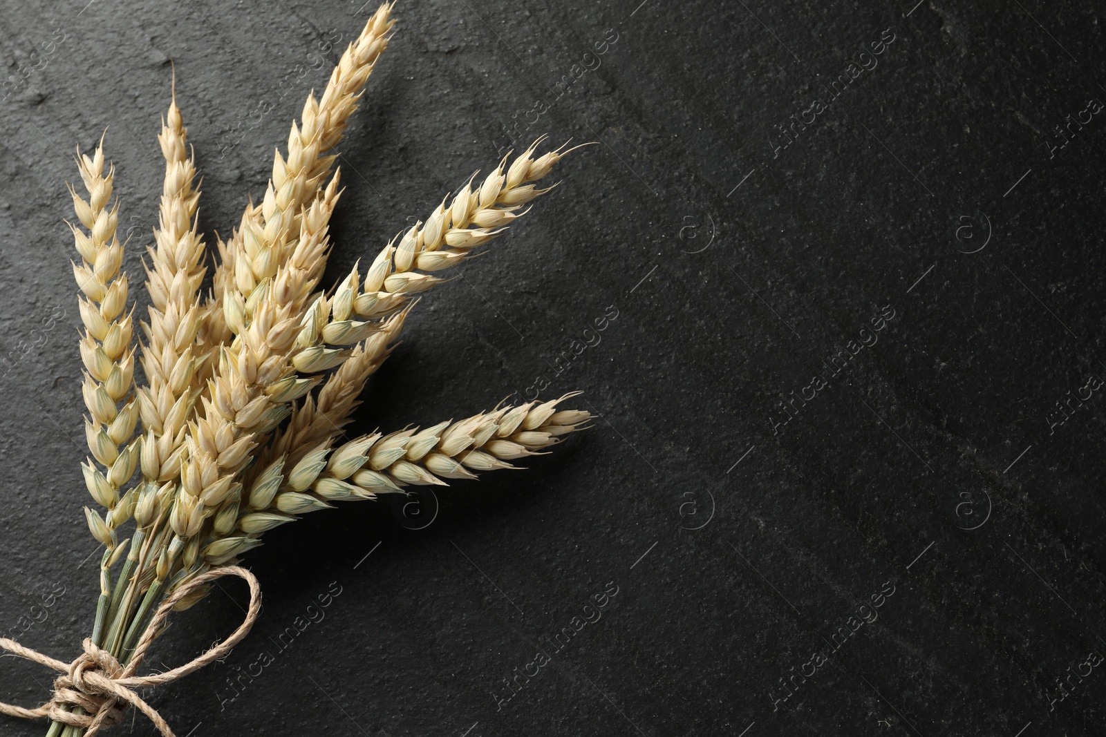 Photo of Bunch of wheat spikes on black table, top view. Space for text