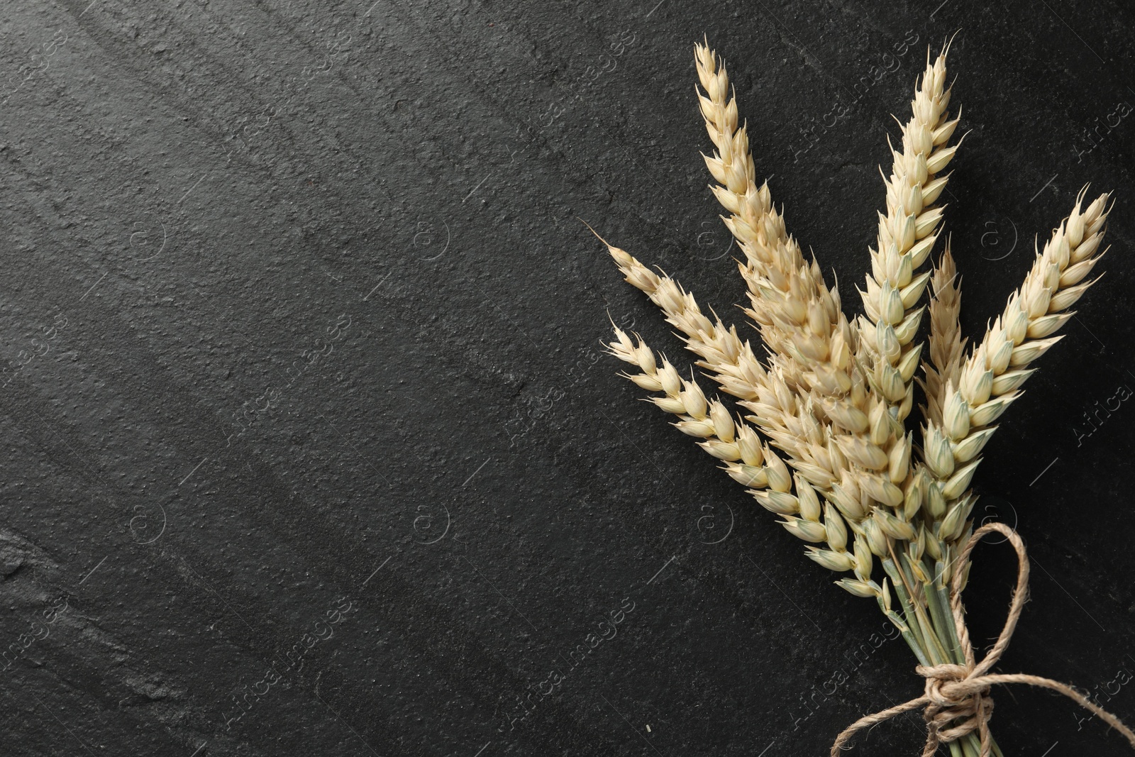 Photo of Bunch of wheat spikes on black table, top view. Space for text