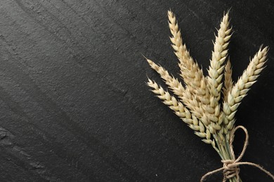Photo of Bunch of wheat spikes on black table, top view. Space for text
