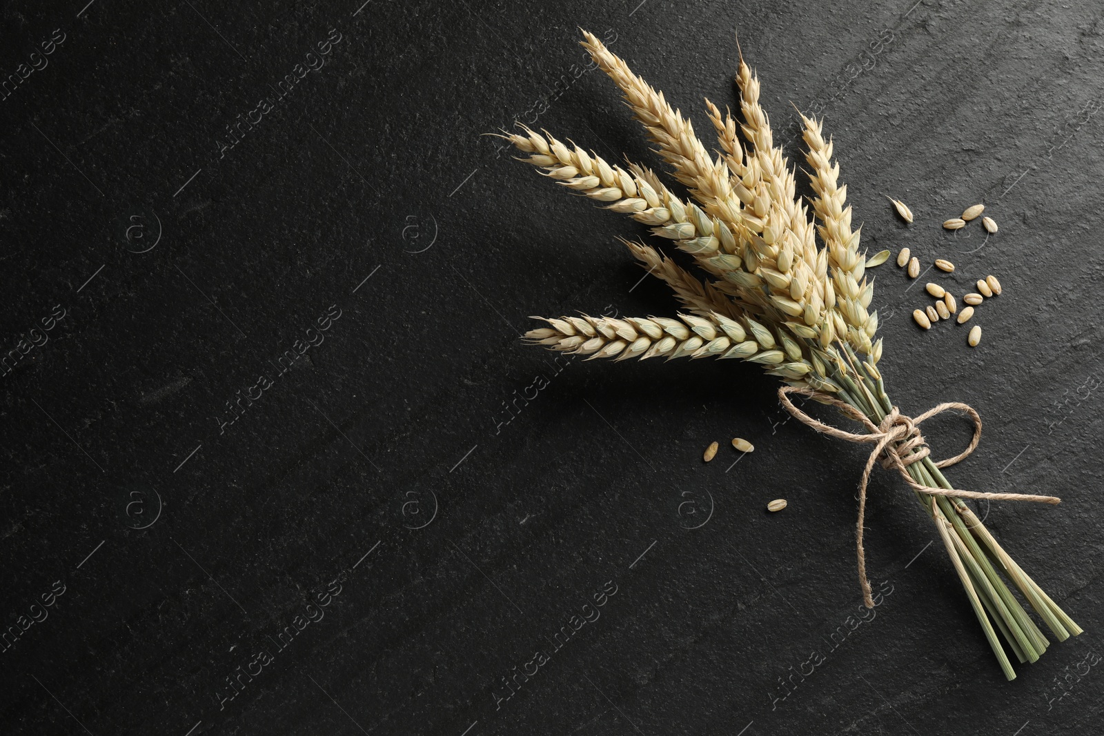 Bunch of wheat spikes and grains on black table, flat lay. Space for text Photo of Bunch of wheat spikes and grains on black table, flat lay. Space for text