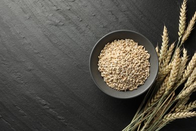 Photo of Many wheat spikes and grains on black table, flat lay. Space for text