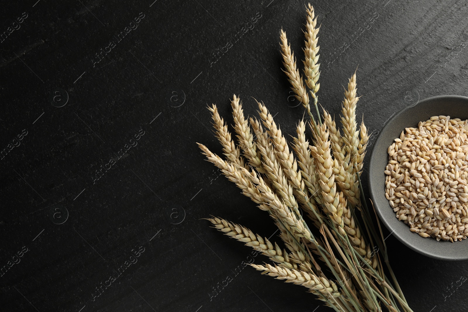Many wheat spikes and grains on black table, flat lay. Space for text Photo of Many wheat spikes and grains on black table, flat lay. Space for text
