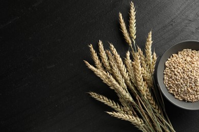 Photo of Many wheat spikes and grains on black table, flat lay. Space for text