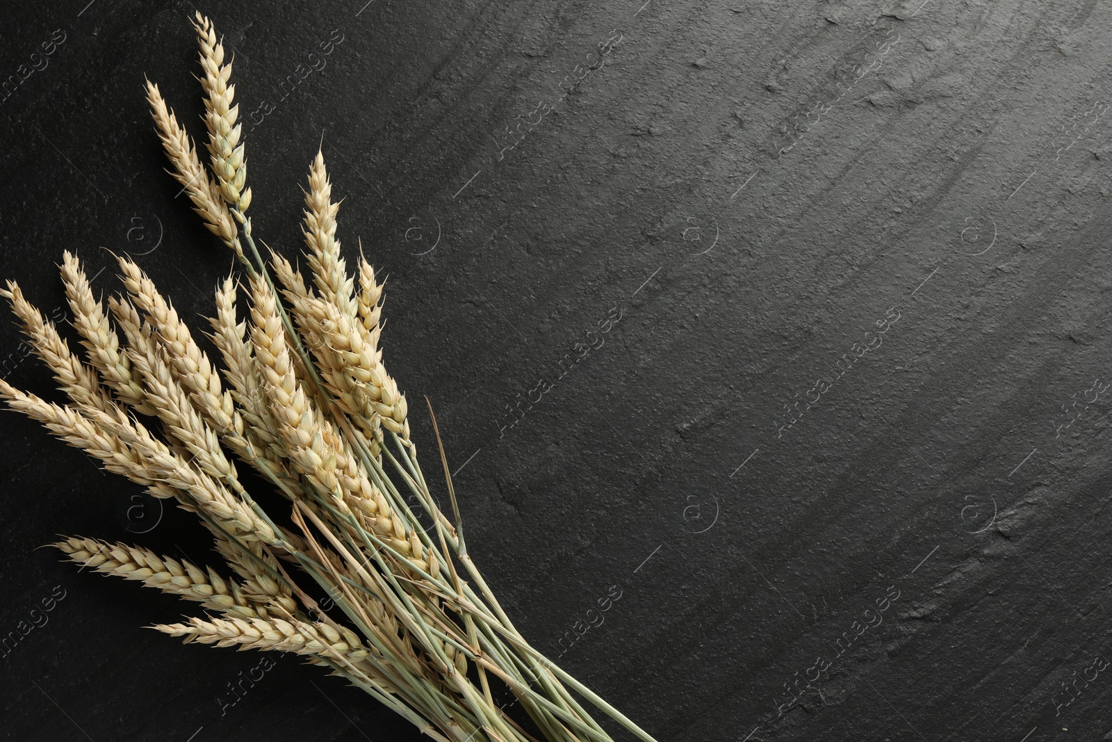 Photo of Many wheat spikes on black table, flat lay. Space for text