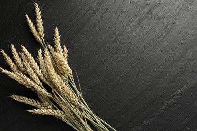 Photo of Many wheat spikes on black table, flat lay. Space for text