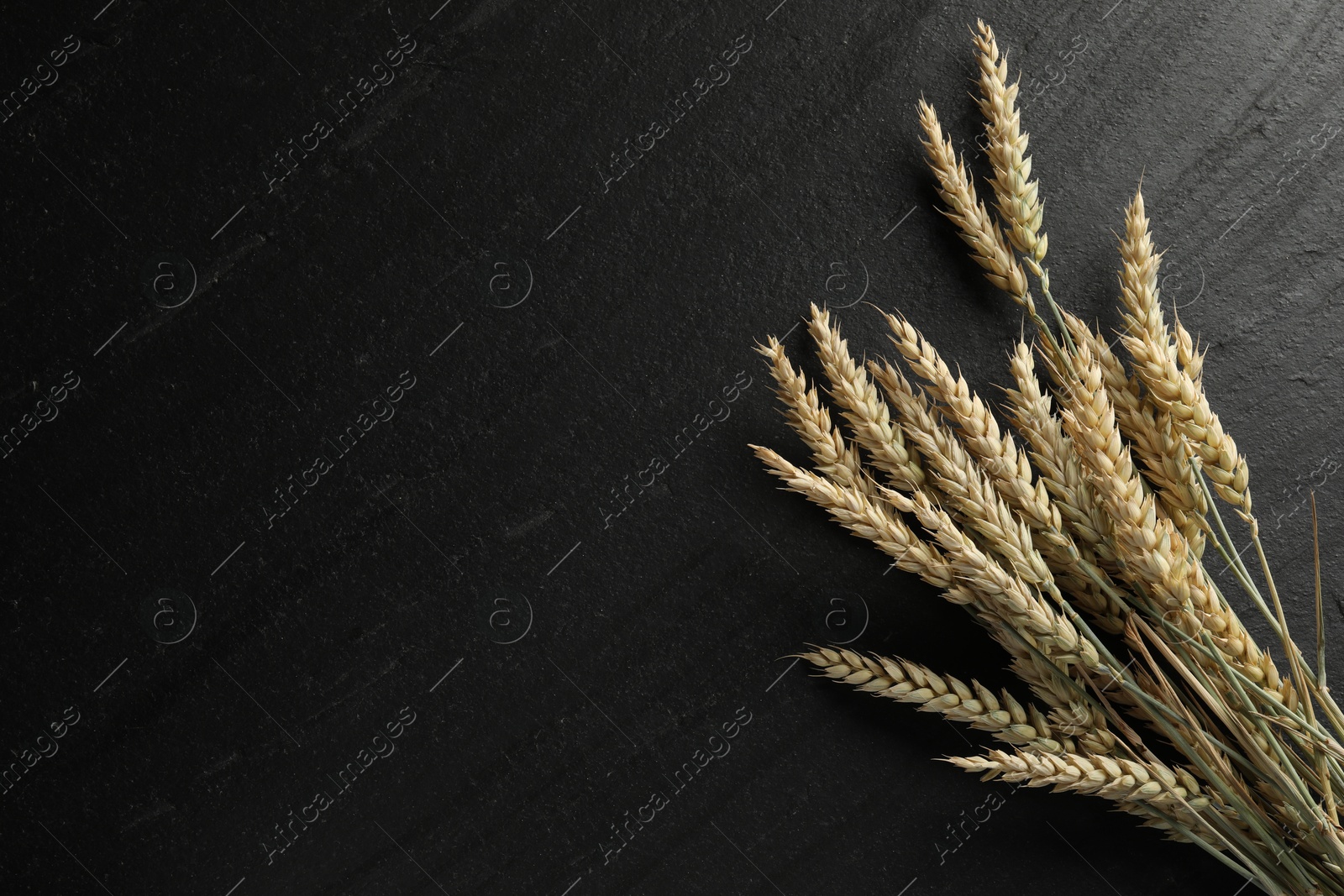 Photo of Many wheat spikes on black table, flat lay. Space for text
