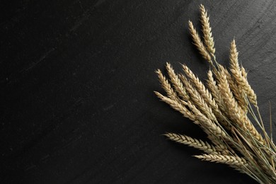 Photo of Many wheat spikes on black table, flat lay. Space for text