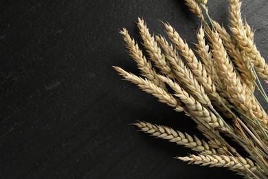 Photo of Many wheat spikes on black table, flat lay. Space for text
