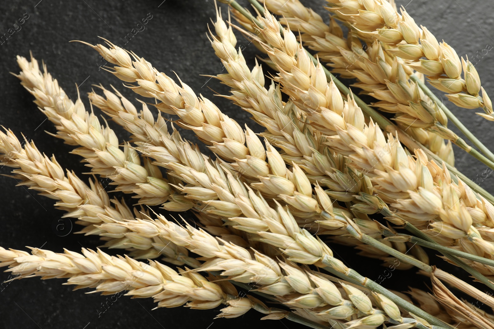 Photo of Many wheat spikes on black table, top view