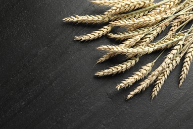 Photo of Many wheat spikes on black table, flat lay. Space for text
