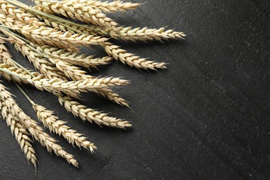 Photo of Many wheat spikes on black table, flat lay. Space for text