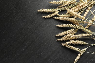 Photo of Wheat spikes on black table, flat lay. Space for text