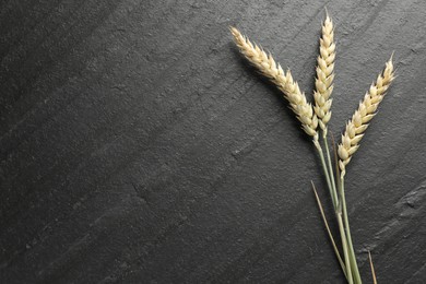 Photo of Wheat spikes on black table, flat lay. Space for text