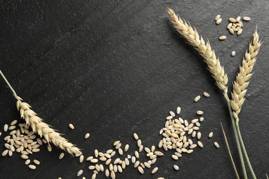 Photo of Wheat spikes and grains on black table, flat lay. Space for text