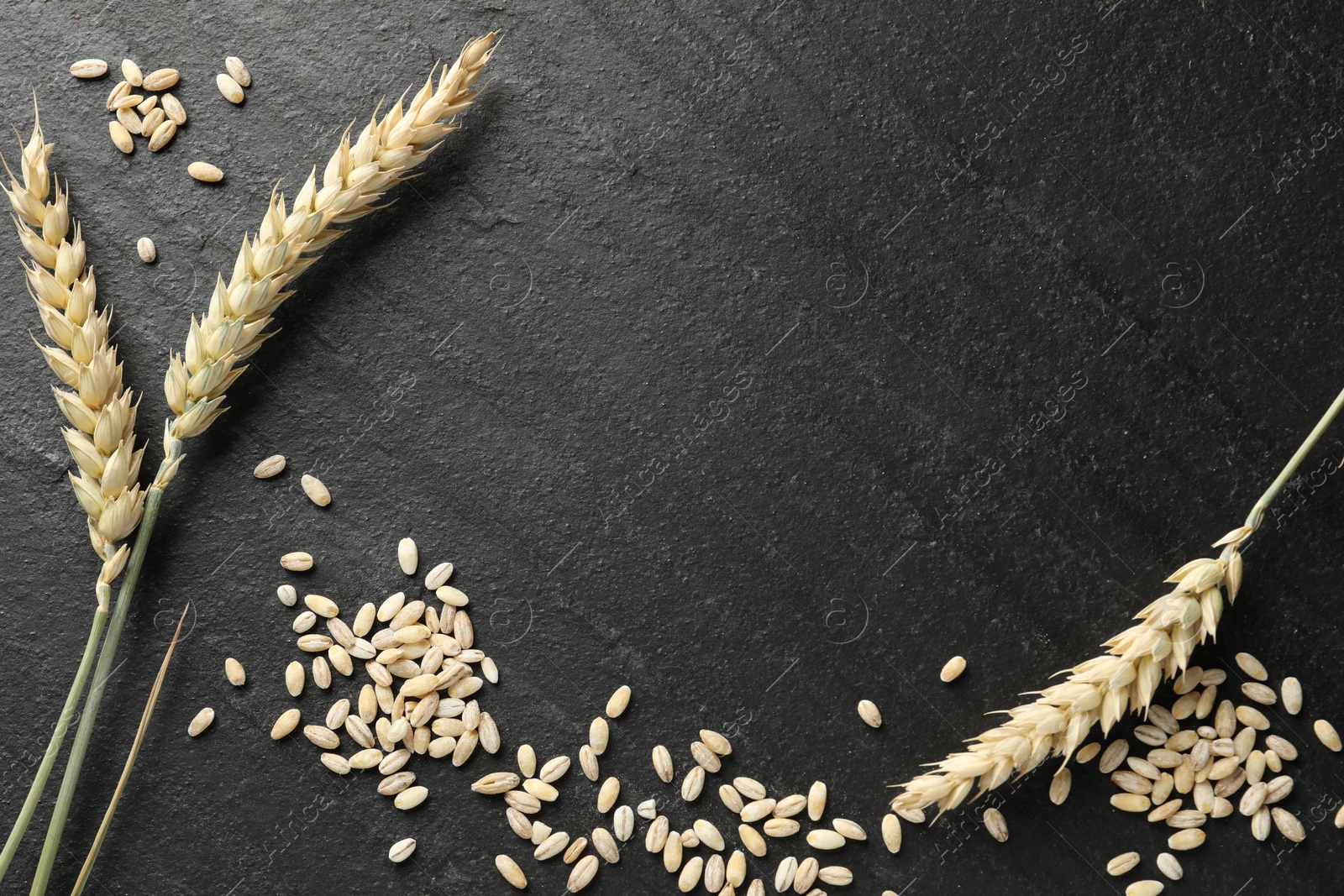 Wheat spikes and grains on black table, flat lay. Space for text Photo of Wheat spikes and grains on black table, flat lay. Space for text