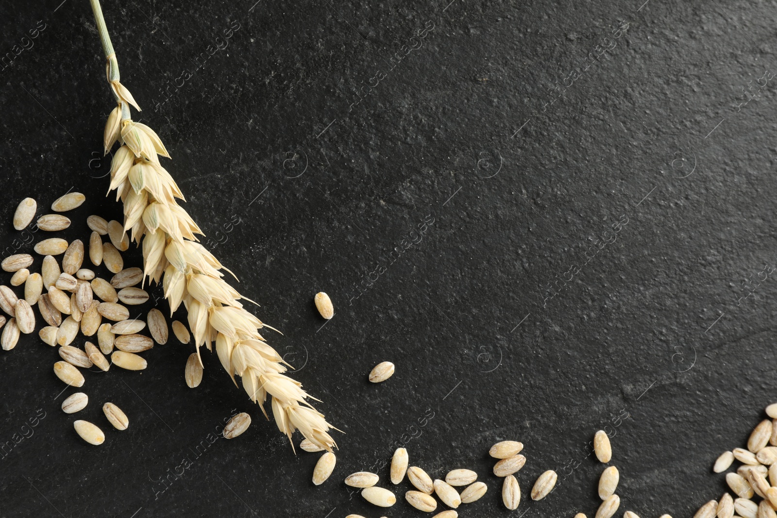Photo of Wheat spike and grains on black table, flat lay. Space for text