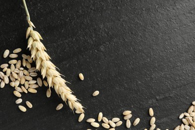 Photo of Wheat spike and grains on black table, flat lay. Space for text