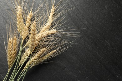 Photo of Wheat spikes on black table, flat lay. Space for text